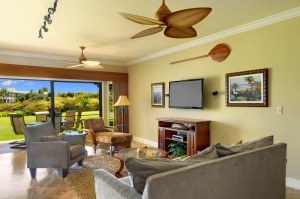 Open livingroom, Bose stereo/surround, Sharp Aquos TV, local artwork and screen door 