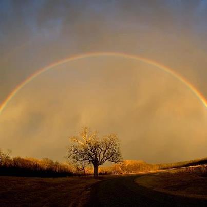 A beautiful rainbow over Kauai, thanks to the Beach House for this great picture.  Speaking of, the Beach House is one of our favorite spots, even if it is just for coctails and the sunset.  Amazing :)