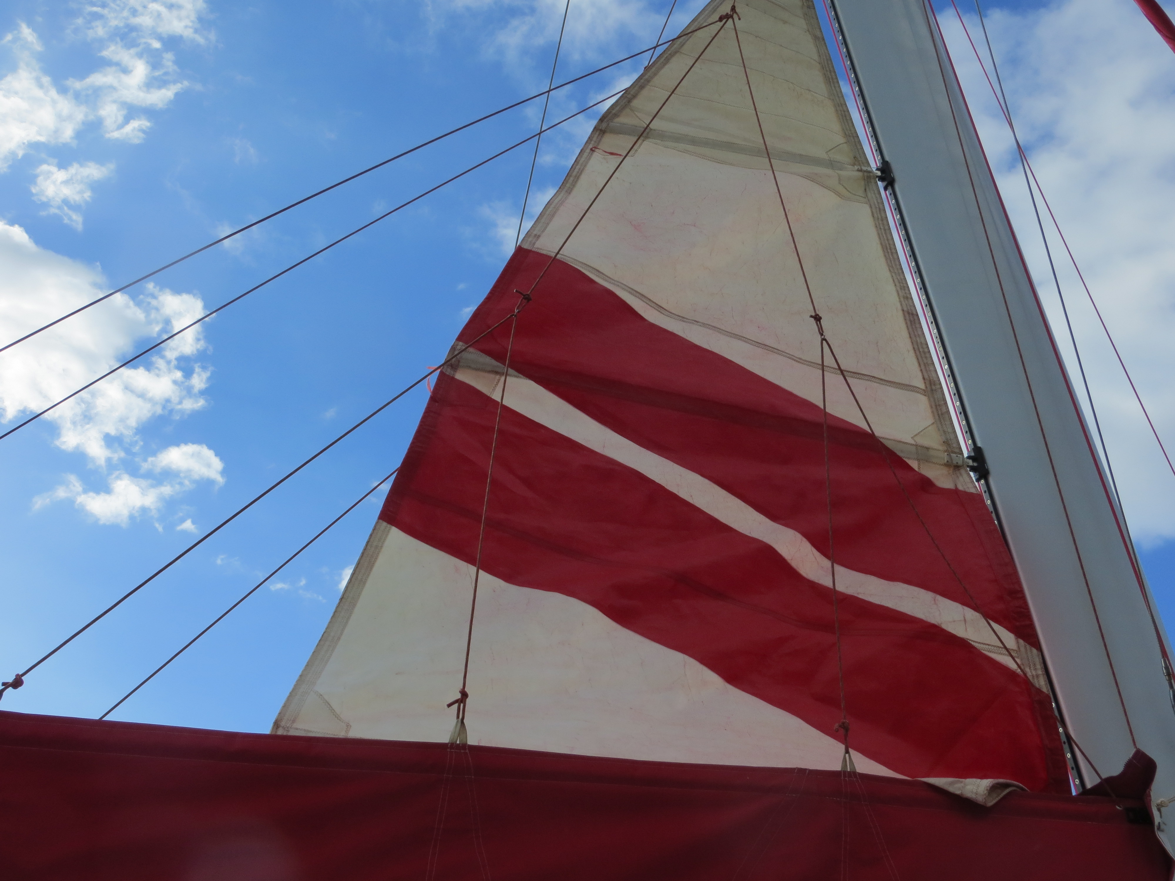 Captain Andy's Sailing (Sunset Cruise)